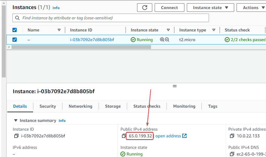 copy-the-ubuntu-ec2-instance-ip-address copy-the-ubuntu-ec2-instance-ip-address