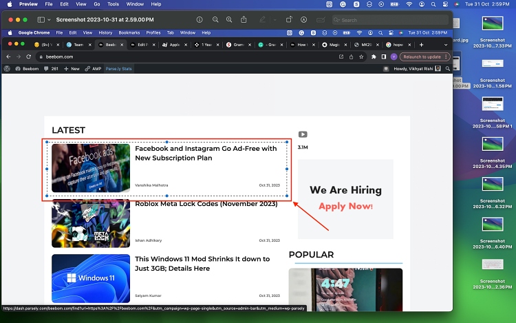 rectangular-selection-on-a-screenshot-on-mac rectangular-selection-on-a-screenshot-on-mac